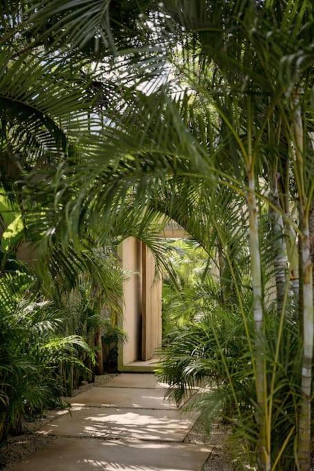 Casa Areca, Awarded Architectural Villa Located In A Secured Gated Community, With Concierge Services Тулум Экстерьер фото
